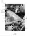 Fig. 06 - Child entertainment apparatus and interactive device