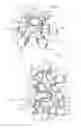 Fig. 07 - ELEMENT FOR AMUSEMENT ARTICLES, CORRESPONDING SYSTEM AND METHOD