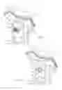 Fig. 05 - In-line single outlet filter with automatic clogged filter element bypass