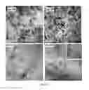 Fig. 05 - Grafted polymer nanocomposite materials, systems, and methods