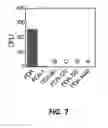 Fig. 08 - MODIFICATION OF MEMBRANES WITH POLYDOPAMINE AND SILVER NANOPARTICLES FORMED IN SITU TO MITIGATE BIOFOULING