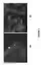 Fig. 05 - Nanoporous metal-carbon composite