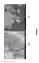 Fig. 08 - Nanoporous metal-carbon composite