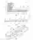 Fig. 03 - Method and device for separating immiscible liquids to effectively isolate at least one of the liquids