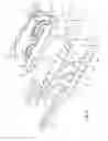 Fig. 06 - ROLLER MILL