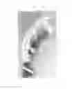 Fig. 01 - ATTACHABLE TEETH FOR CLEANING HAND TOOLS