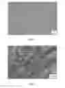 Fig. 02 - Bimodal metal matrix nanocomposites and methods of making