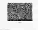 Fig. 03 - NOVEL AMORPHOUS AND NANOSTRUCTURED Nb-Zr ALLOY