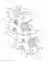 Fig. 01 - DIES FOR THREADED ROD CUTTING MACHINE