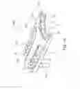 Fig. 02 - Tool tongs