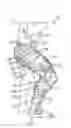 Fig. 01 - Electrolaminate clutches for an exosuit system