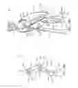Fig. 15 - Electrolaminate clutches for an exosuit system
