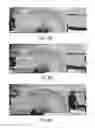 Fig. 11 - Self-transforming structures