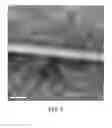 Fig. 07 - Composite substrate and method for manufacturing same