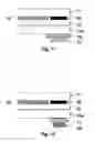 Fig. 07 - Glazing
