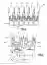 Fig. 06 - Assembly of at least one revolution object and one ink jet printing machine