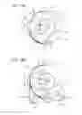 Fig. 15 - Flange, holding device for holding roll medium, and recording device for performing recording on roll medium