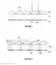 Fig. 02 - Single layer image projection film