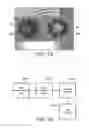 Fig. 12 - Security elements, and methods and apparatus for their manufacture