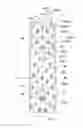 Fig. 01 - Motorcycle tire