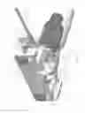 Fig. 06 - Overhead rail system having chariots moving longitudinally along the rail system