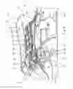 Fig. 07 - Straddle-type vehicle and seat structure thereof