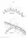 Fig. 02 - Multi-sprocket arrangement for a bicycle