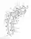 Fig. 06 - Multi-sprocket arrangement for a bicycle