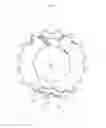 Fig. 14 - Multi-sprocket arrangement for a bicycle