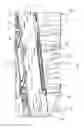 Fig. 06 - Slide bushing supported aircraft cargo loading systems and methods