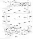 Fig. 08 - CARTON AND CARTON BLANK