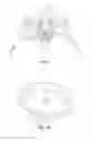 Fig. 02 - SPRAY CAN