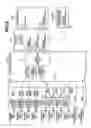 Fig. 06 - Image forming apparatus that ejects printed sheets from multiple trays at the same time