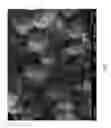Fig. 02 - Method for making EUO framework type molecular sieves