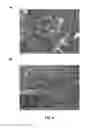 Fig. 09 - Compositions, panels and sheets comprising mineral fillers and methods to produce the same