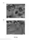 Fig. 14 - Compositions, panels and sheets comprising mineral fillers and methods to produce the same