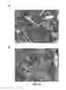 Fig. 21 - Compositions, panels and sheets comprising mineral fillers and methods to produce the same