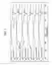 Fig. 02 - OLEO RESINS AND PHOSPHATE ESTERS FOR USE IN PYROTECHNIC FORMULATIONS