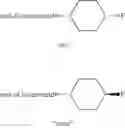 Fig. 10 - FLUORO-PERHEXILINE COMPOUNDS AND THEIR THERAPEUTIC USE