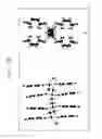 Fig. 19 - Synthesis of triethylenetetramines