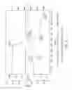 Fig. 04 - Anhydrous crystalline form of -equol