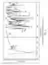 Fig. 06 - Anhydrous crystalline form of -equol