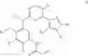 Fig. 18 - Compounds and compositions for modulating EGFR mutant kinase activities