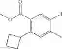 Fig. 521 - Heterocyclic modulators of lipid synthesis
