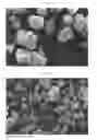 Fig. 03 - CO-PROCESSING METHOD AND FORMULATION FOR HIV ATTACHMENT INHIBITOR PRODRUG COMPOUND AND EXCIPIENTS