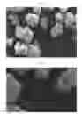 Fig. 04 - CO-PROCESSING METHOD AND FORMULATION FOR HIV ATTACHMENT INHIBITOR PRODRUG COMPOUND AND EXCIPIENTS