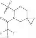 Fig. 21 - Compounds and methods for inhibiting histone demethylases