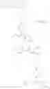Fig. 193 - Compositions useful for treating disorders related to kit