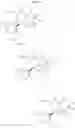 Fig. 16 - BACE1 inhibitors