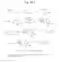 Fig. 07 - Human iNKT cell activation using glycolipids
